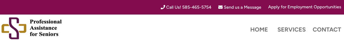 Professional Assistance for Seniors